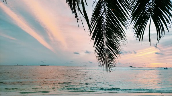 Quels sont les impacts du tourisme sur l'économie locale ?